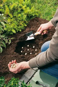 Learn Gardening screenshot 8