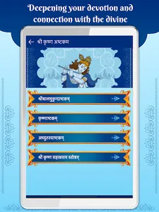 Bhagavad Gita for All screenshot 22