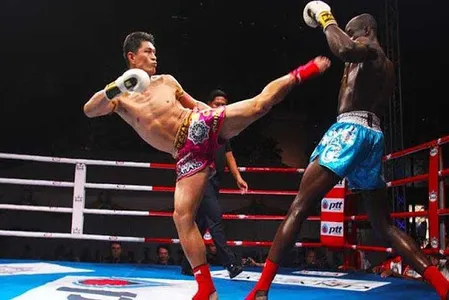 Learn Muaythai screenshot 0