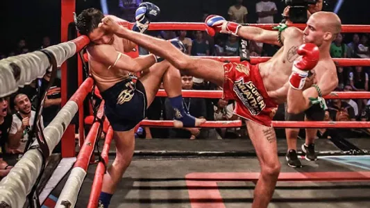 Learn Muaythai screenshot 1