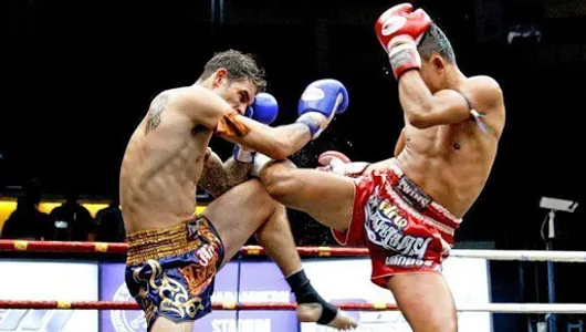 Learn Muaythai screenshot 2