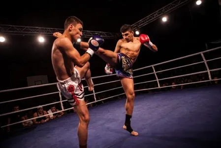Learn Muaythai screenshot 3