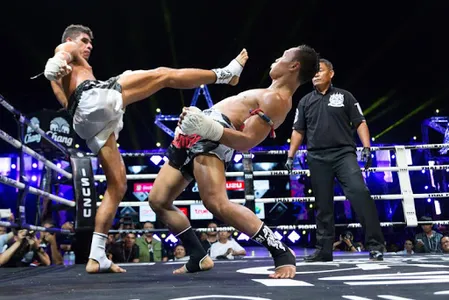Learn Muaythai screenshot 6