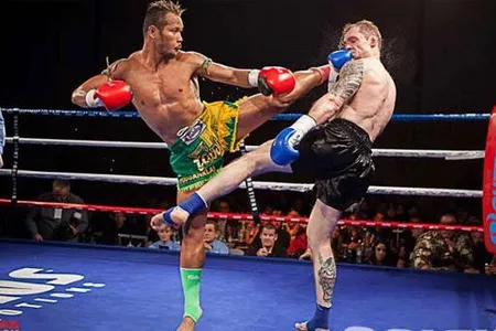 Learn Muaythai screenshot 7