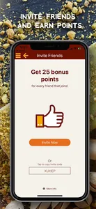 Morelia Gourmet Paletas screenshot 7