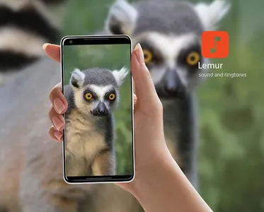 Lemur Sound Effects screenshot 0