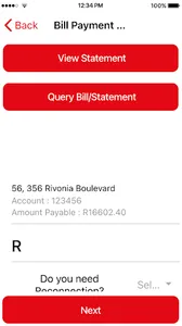 LESEDI Municipality CUSP screenshot 3