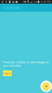 Brunet  Photo Uploader screenshot 1