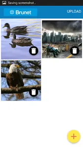 Brunet  Photo Uploader screenshot 4