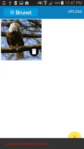 Brunet  Photo Uploader screenshot 5