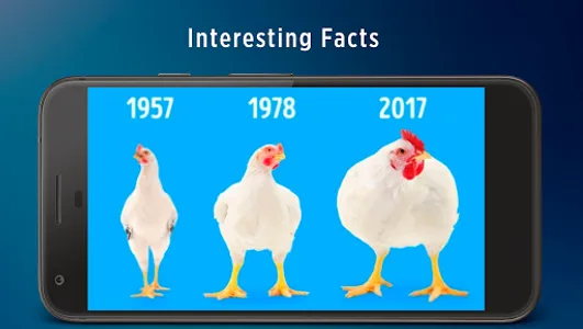 Interesting facts screenshot 0