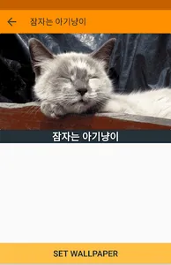 움직이는 고양이 배경화면(CatLiveWallPaper screenshot 1