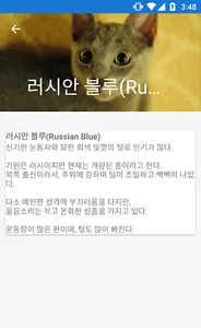 고양이 키우기 전에! screenshot 4