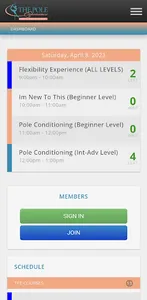 The Pole Experience screenshot 3