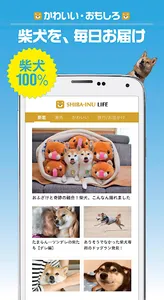柴犬ライフ:100％柴犬情報メディア screenshot 0
