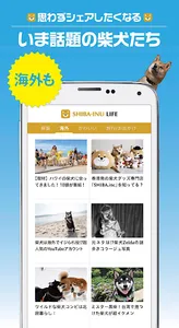 柴犬ライフ:100％柴犬情報メディア screenshot 1