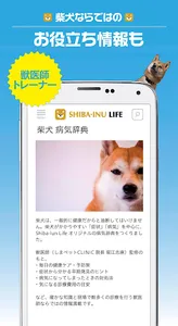 柴犬ライフ:100％柴犬情報メディア screenshot 3