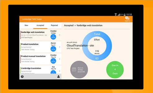TMS Tasks screenshot 11
