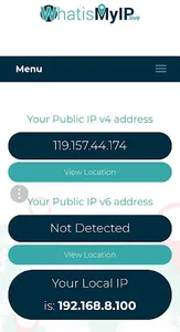 What is My IP address screenshot 0