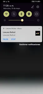 Lokura Radial screenshot 2