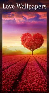 Romantic Love Images : Photos screenshot 7