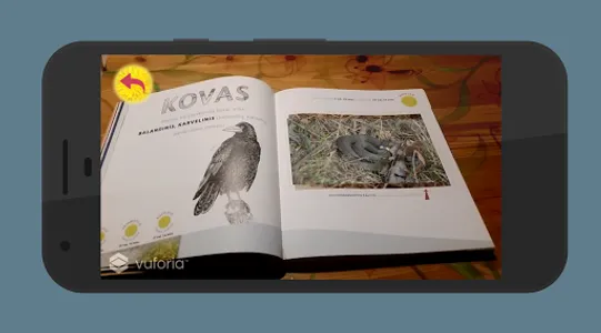 Metų ratas screenshot 3