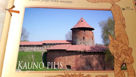 „Nieko rimto“ programėlės screenshot 1