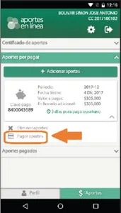 Apportes en Línea screenshot 1