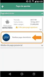 Apportes en Línea screenshot 2