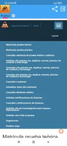 Citas COSEVI screenshot 2