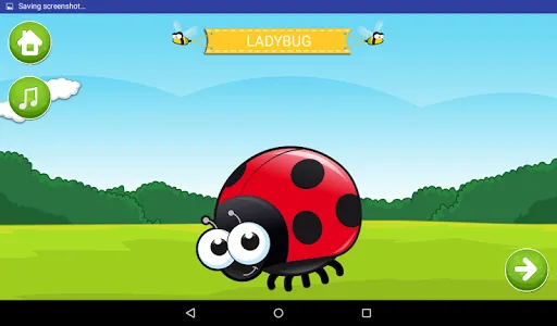 Learn About Insects screenshot 11