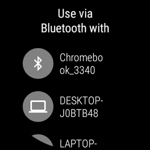 WearAuthn screenshot 3