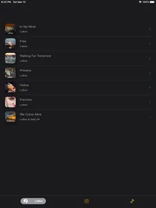 Skylex Music screenshot 3