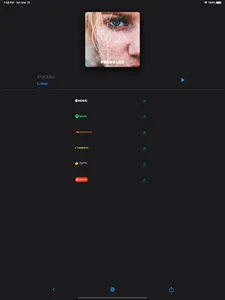Skylex Music screenshot 5