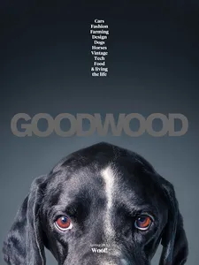 Goodwood screenshot 10