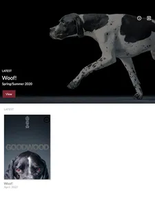 Goodwood screenshot 9