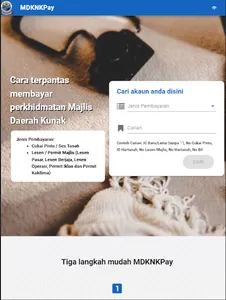 MDKNKPay screenshot 2