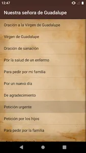 Nuestra señora de Guadalupe screenshot 0