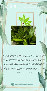 گیاهان و عرقیجات سبحان علوی screenshot 4