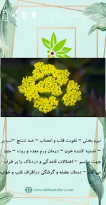گیاهان و عرقیجات سبحان علوی screenshot 5