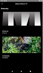 Midas Platform TV screenshot 6