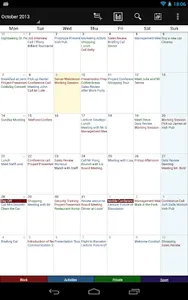 Business Calendar Pro screenshot 10