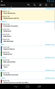 Business Calendar Pro screenshot 11