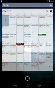 Business Calendar Pro screenshot 15