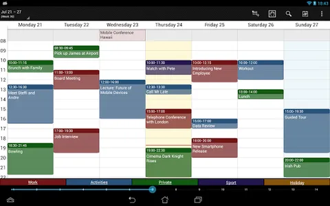 Business Calendar Pro screenshot 17