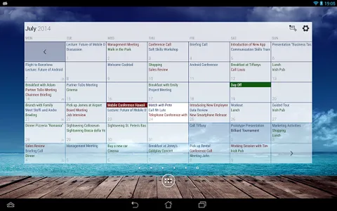 Business Calendar Pro screenshot 22