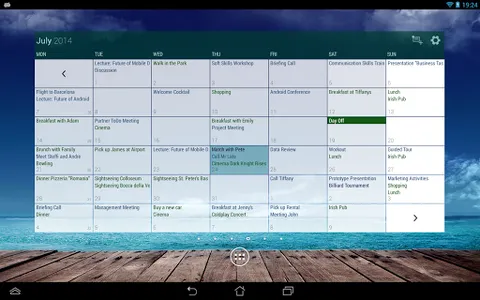 Business Calendar Pro screenshot 23