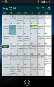 Business Calendar Pro screenshot 7