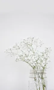 White Background Wallpaper HD screenshot 4