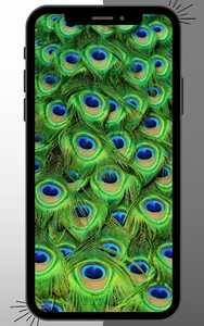 Peacock Wallpaper screenshot 2